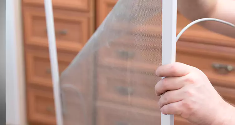 Privacy Mesh Screen Door Installation in West Little River, FL